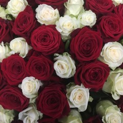 101 red and white rose bouquet